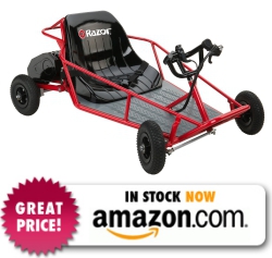 Razor Dunn Buggy Electric Go Kart