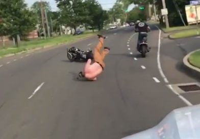 Harley Davidson Extreme Riding Gone Wrong